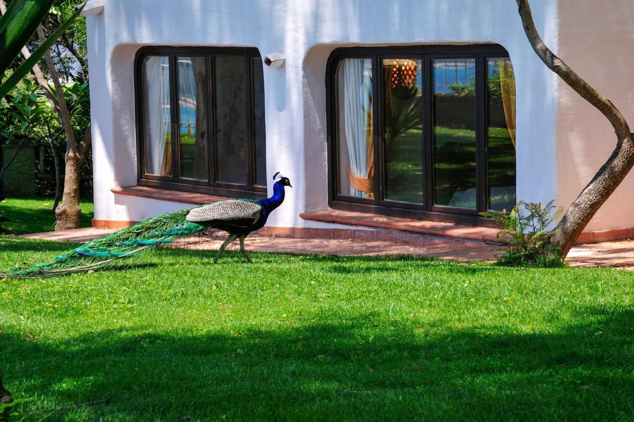 Arbatax Park Resort - Ville Del Parco ภายนอก รูปภาพ